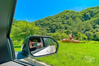 2025년 근로자 휴가지원사업