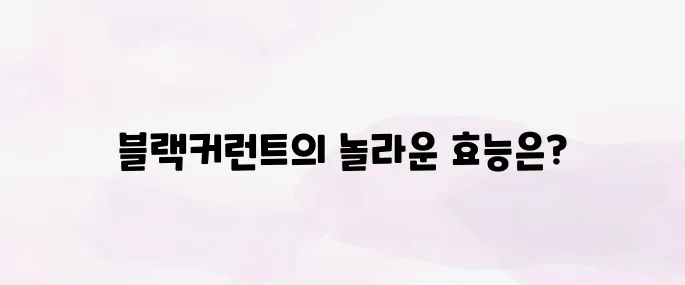 블랙커런트 효능│눈 건강·항산화에 좋은 수퍼베리 정리