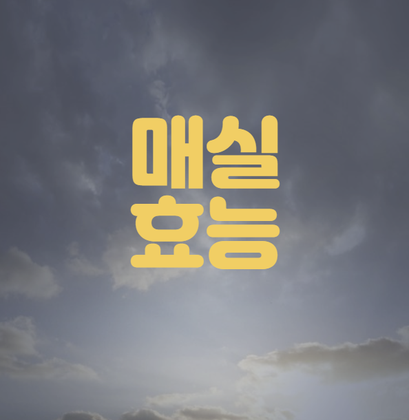 매실 효능