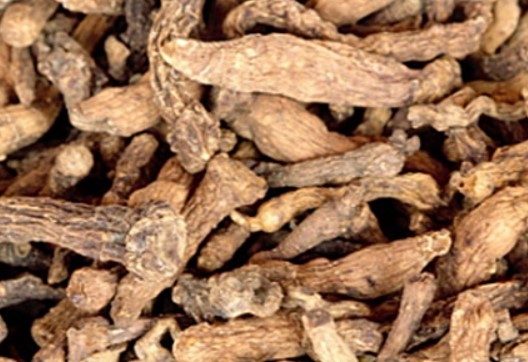 둥글레차 효과 둥글레차 물대신 둥굴레차 효능 둥굴레차 부작용