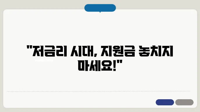 정확한 정부지원금 신청 가이드