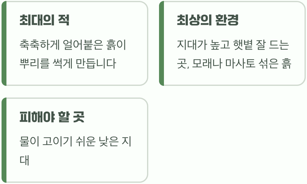 겨울나기의 핵심, 물 빠짐