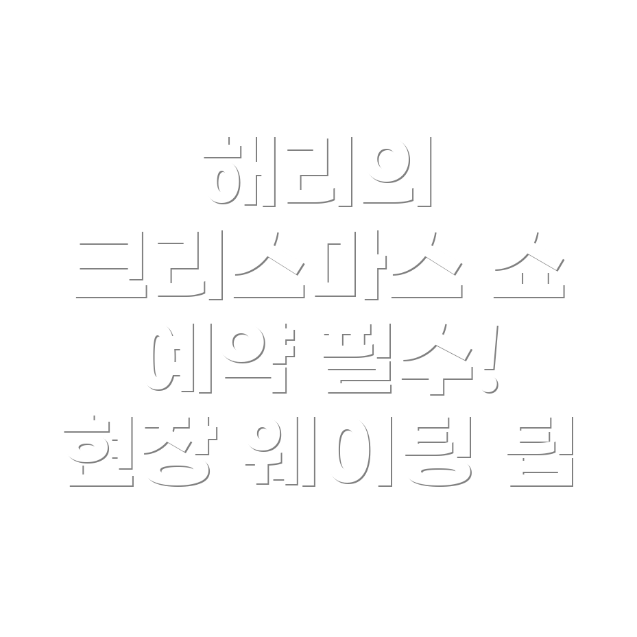 해리의 크리스마스 쇼