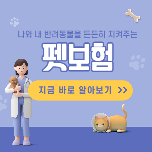 펫보험 가격 비교 추천 반려동물 보험