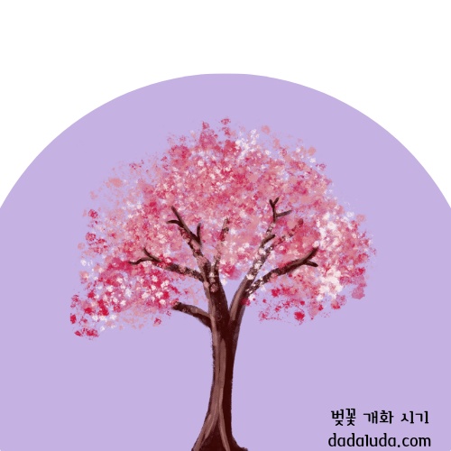 벚꽃 개화 시기 2025 인천 벚꽃 구경 볼만한 곳