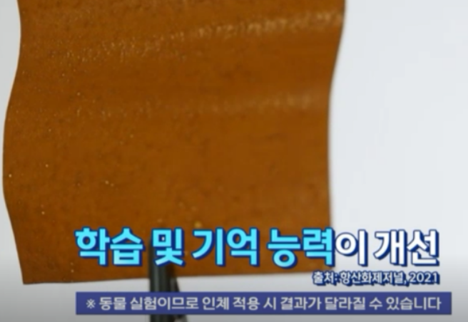흑마늘 SAC 효능