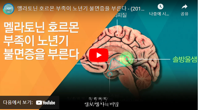 멜라토닌 설명 동영상