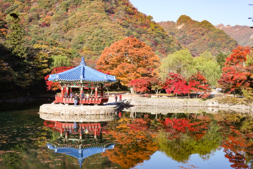단풍시기