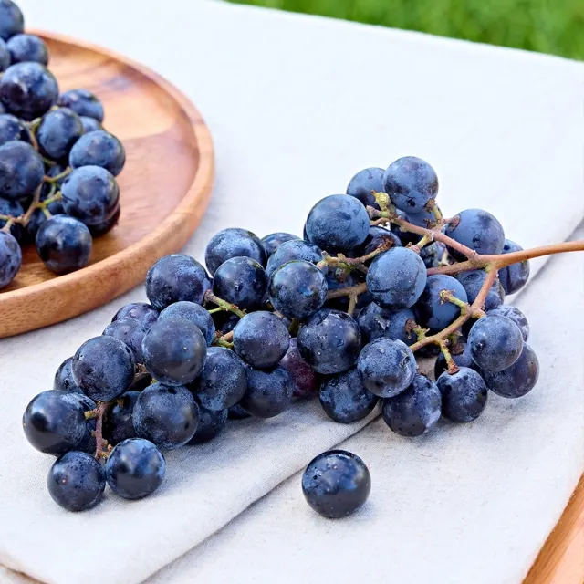 머루포도 효능키우기제철머루포도주 담그기먹는 방법보관 방법 안내_4