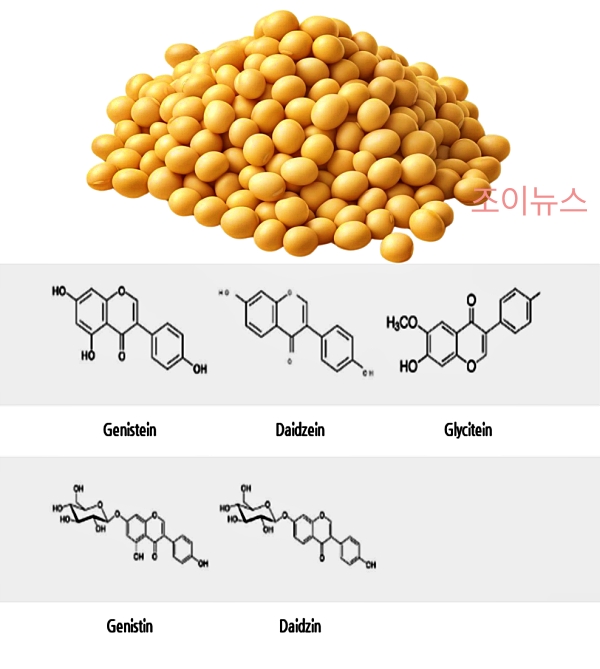 검은콩 핵심 효능, 이소플라본