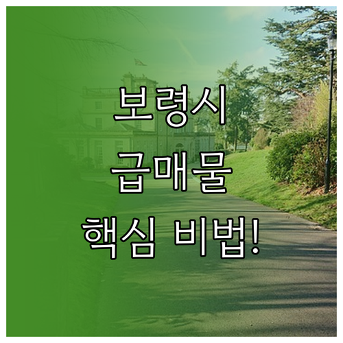 보령시 교차로에서 알짜배기 부동산 급..