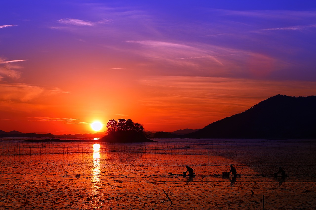 건강보험료 경감 신청 