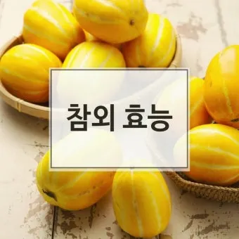 참외 효능 및 영양 정보 섭취 효과 정리_3