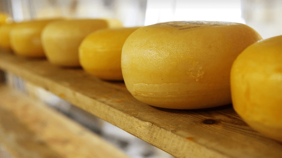 아연이 많은 음식 사진 - 9