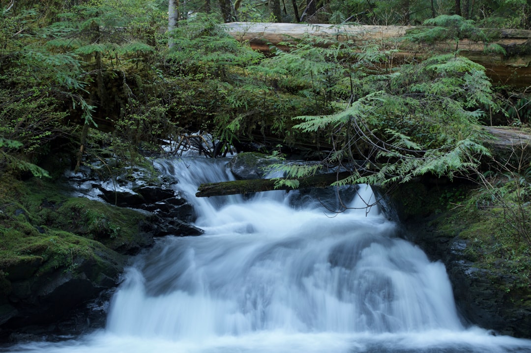 Stream
