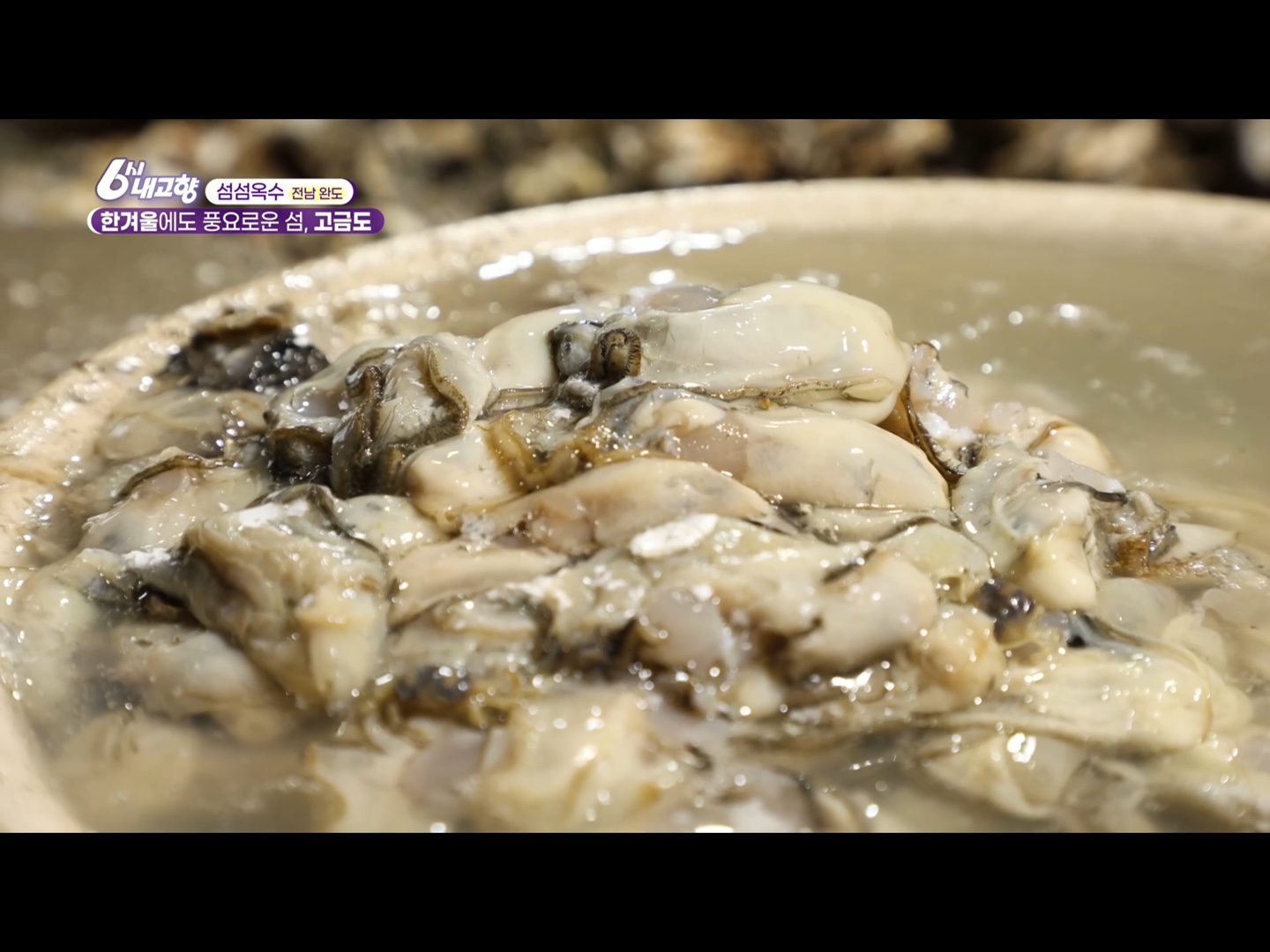2024년 12월 5일 6시 내고향 전남 완도 유자, 김 양식, 굴 요리는 어디?