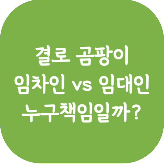 결로곰팡이-임차인-임대인-누구책임인가-썸네일