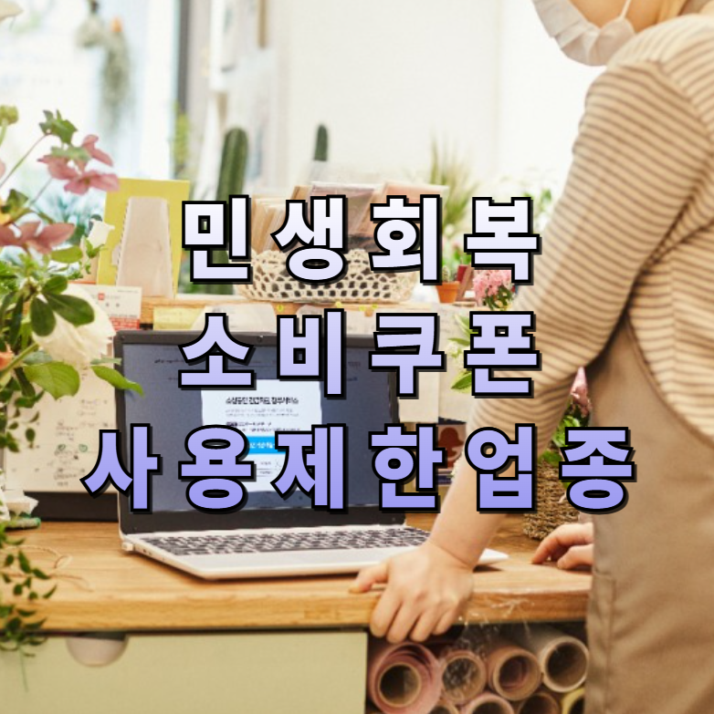 사용제한 업종, 민생회복지원금 프랜차이즈, 소비쿠폰 제한, 온라인몰 사용 금지, 정부지원금 사용처, 편의점 가맹점, 직영점 사용불가, 지역경제 지원, 소비 유의사항, 정부지원카드 팁