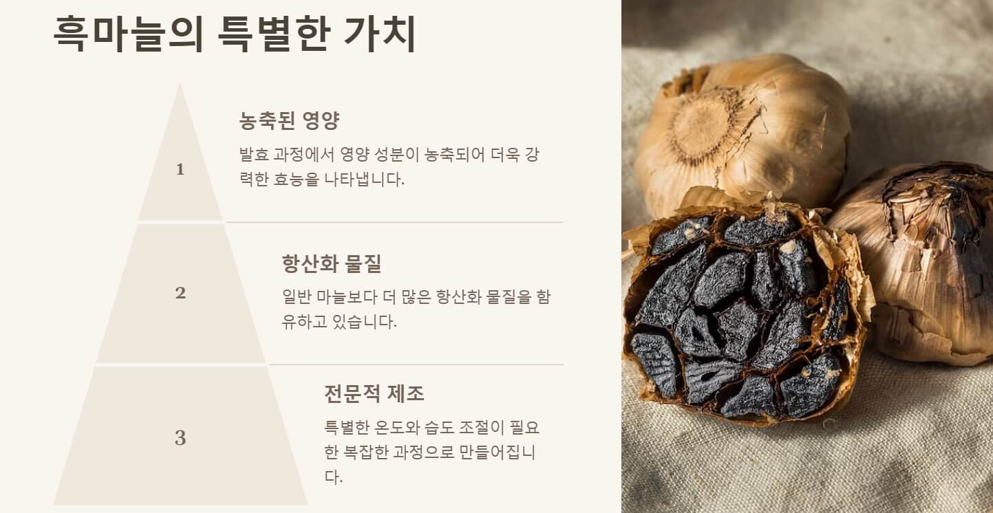 흑마늘 효능과 부작용