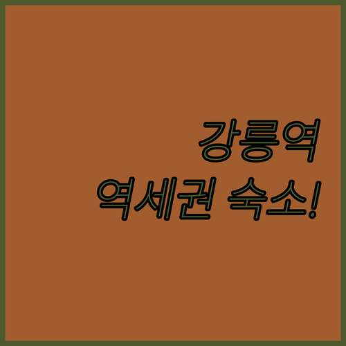 뚜벅이 여행자를 위한 강릉역 인근 역..