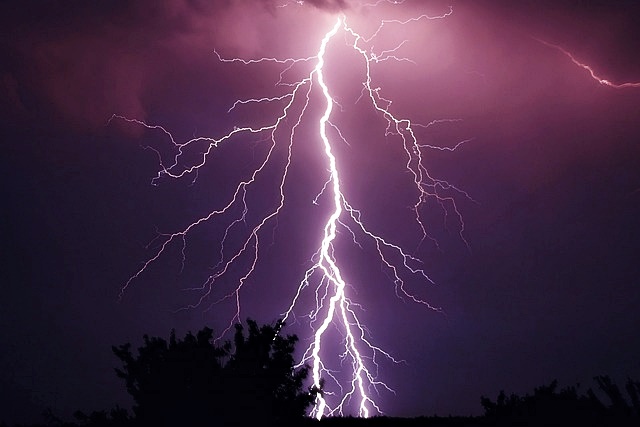 한전 전기요금 조회방법
