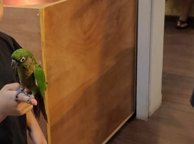 센트럴 곤충 생태농장