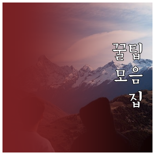 식물성 단백질 콩 견과류 곡물 올바른..