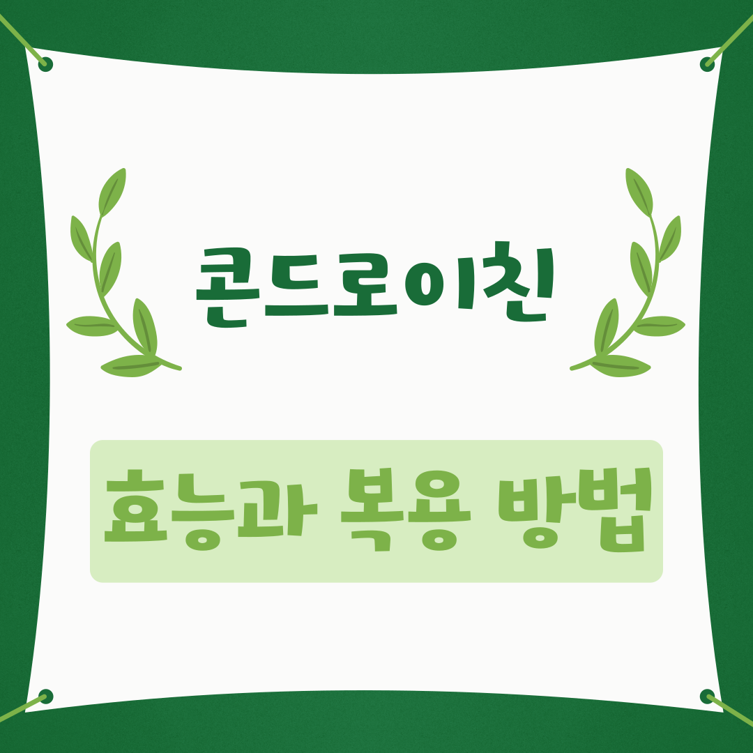 콘드로이친의 효능과 안전한 복용 방법