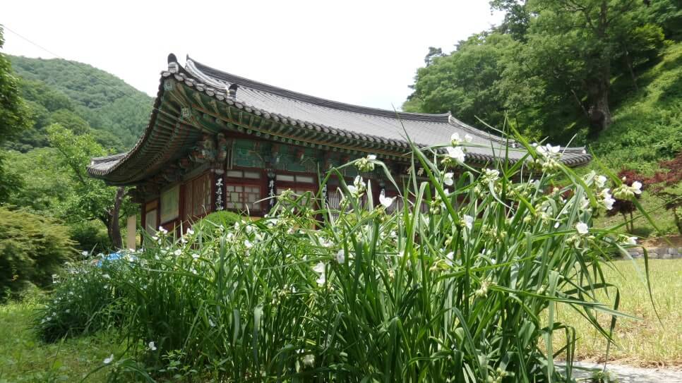100대 명산 등산하기 마흔아홉번째 천안 광덕산 자연의 숨결이 살아있는 충남의 명산