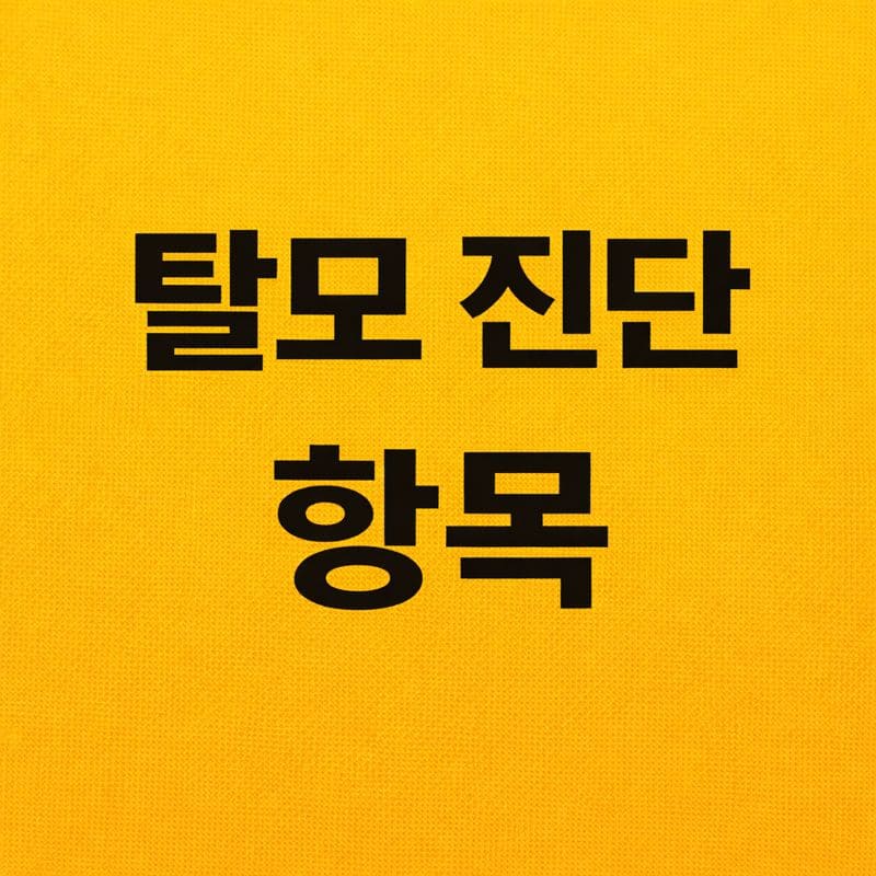 탈모 진단 항목