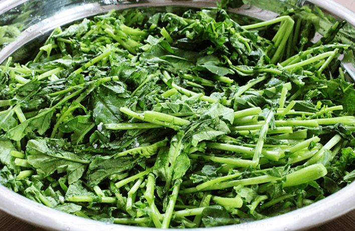 열무김치 맛있게 담그는 법 (담는 법/담그기) 알아보기