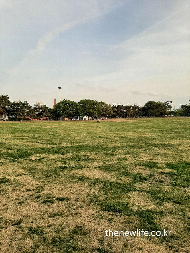 A wide open grass field at Olympic Park in Seoul-서울 올림픽공원의 탁 트인 맨발 걷기가 가능한 잔디밭 전경