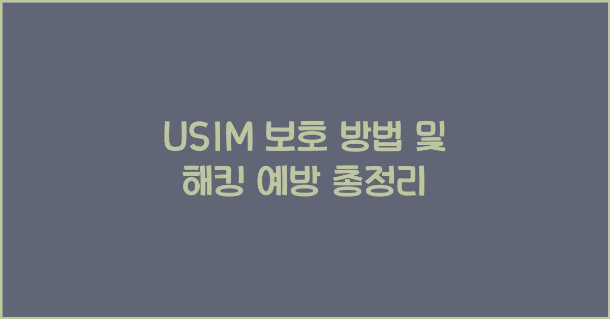 usim 보호 방법