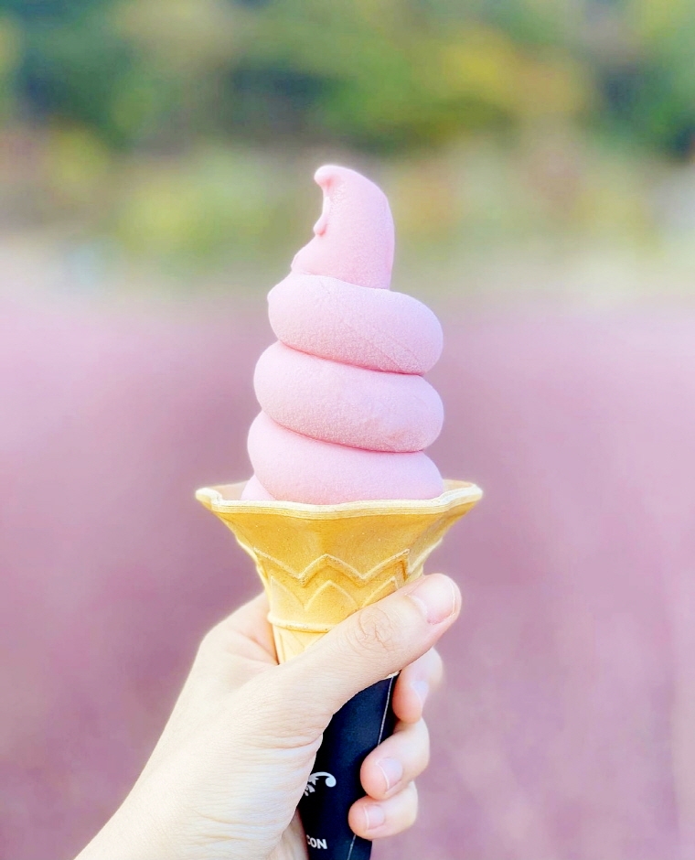 핑크뮬리 축제 아이스크림