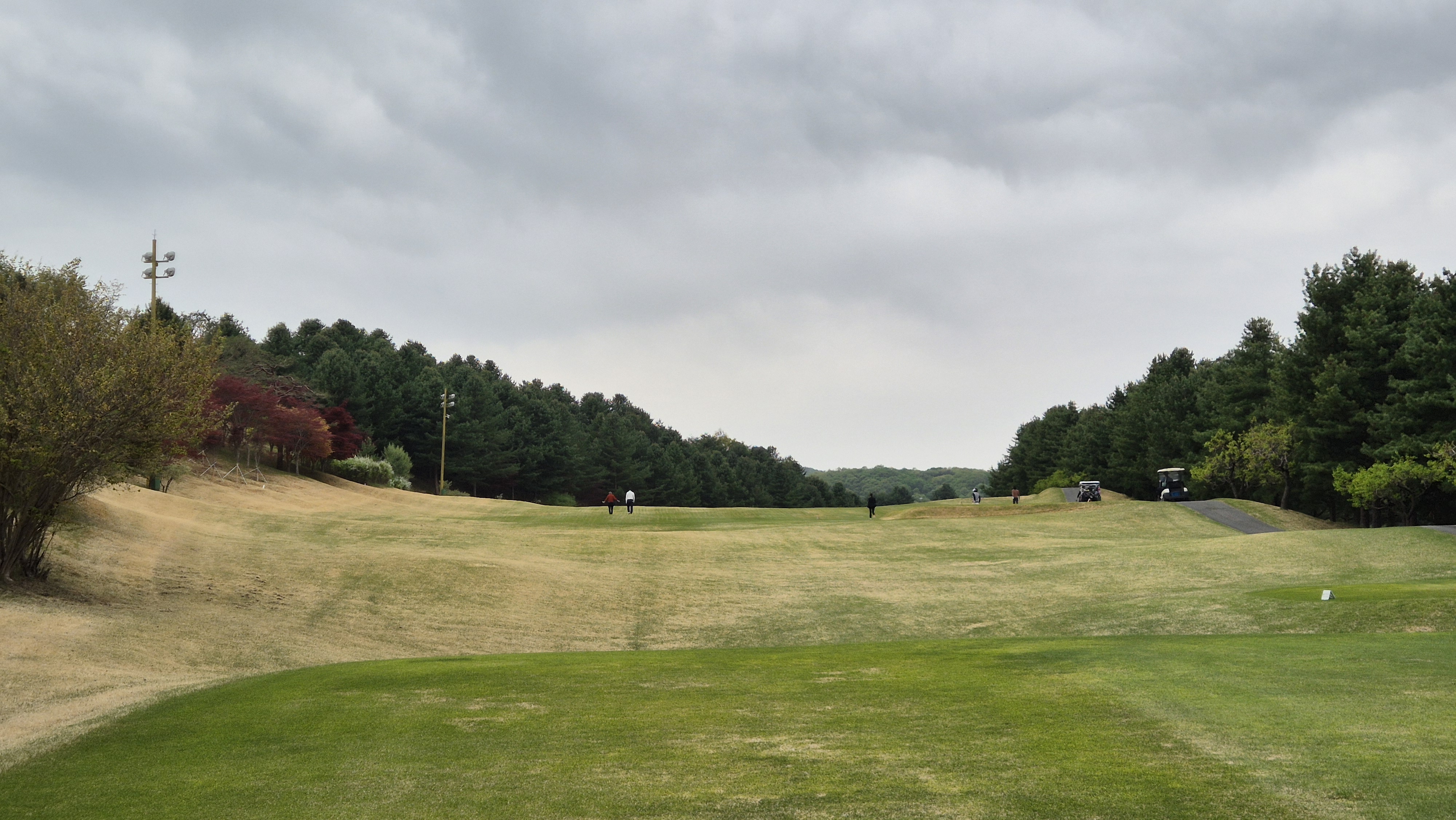 시그너스cc 코튼-라미 코스 사진 및 공략 정보