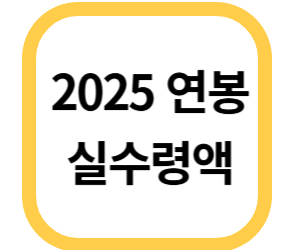 2025 연봉 실수령액