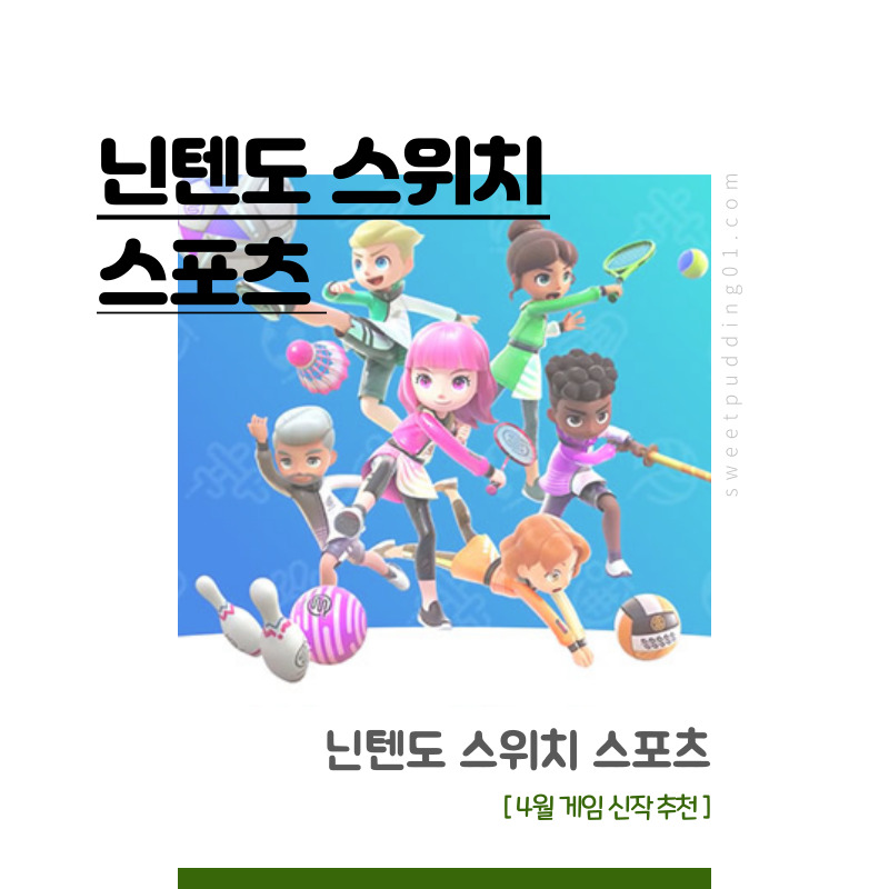 닌텐도 스위치 스포츠