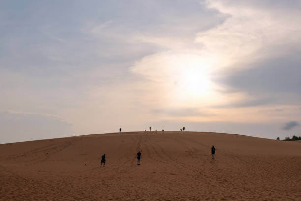 레드샌드듄 모래 언덕 사진