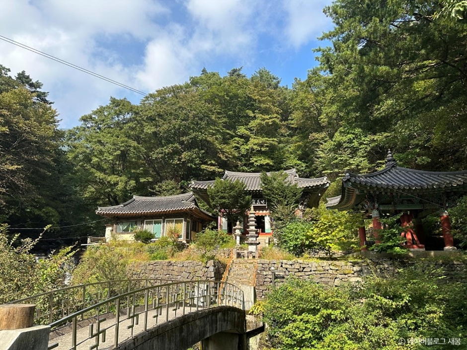 영주 가볼만한곳 베스트10