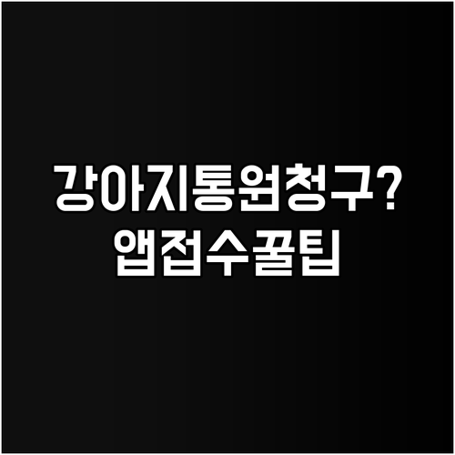 강아지 통원 치료 보험 청구, 서류부..