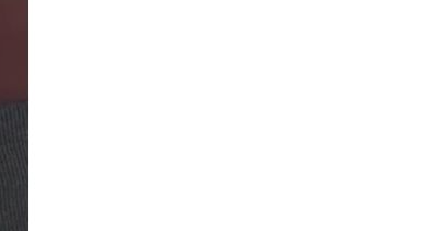 상황버섯 효능 부작용