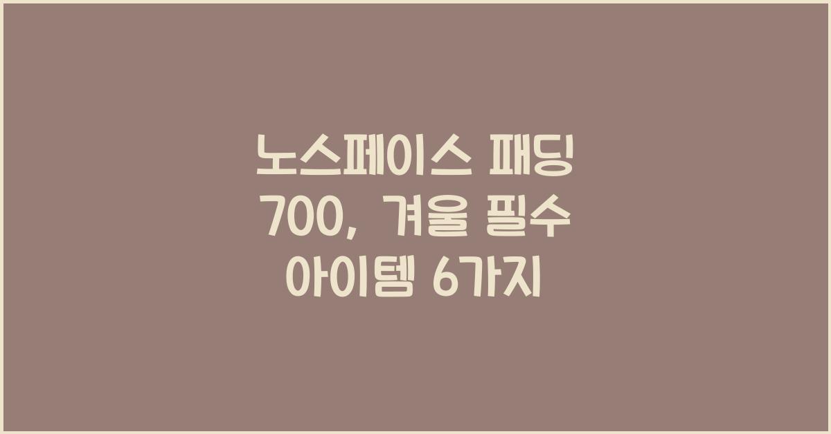 노스페이스 패딩 700