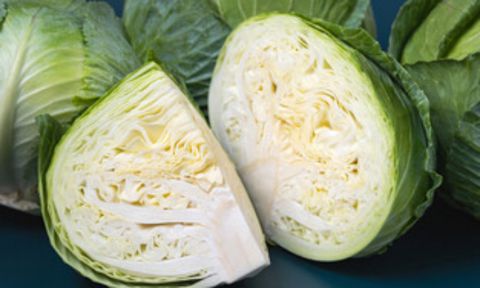 위장의 점막을 튼튼하게 속을 편안하게 한다