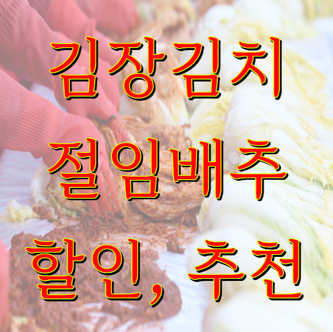절임배추 추천