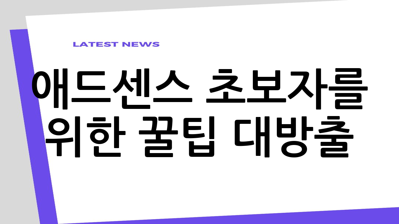 애드센스 초보자를 