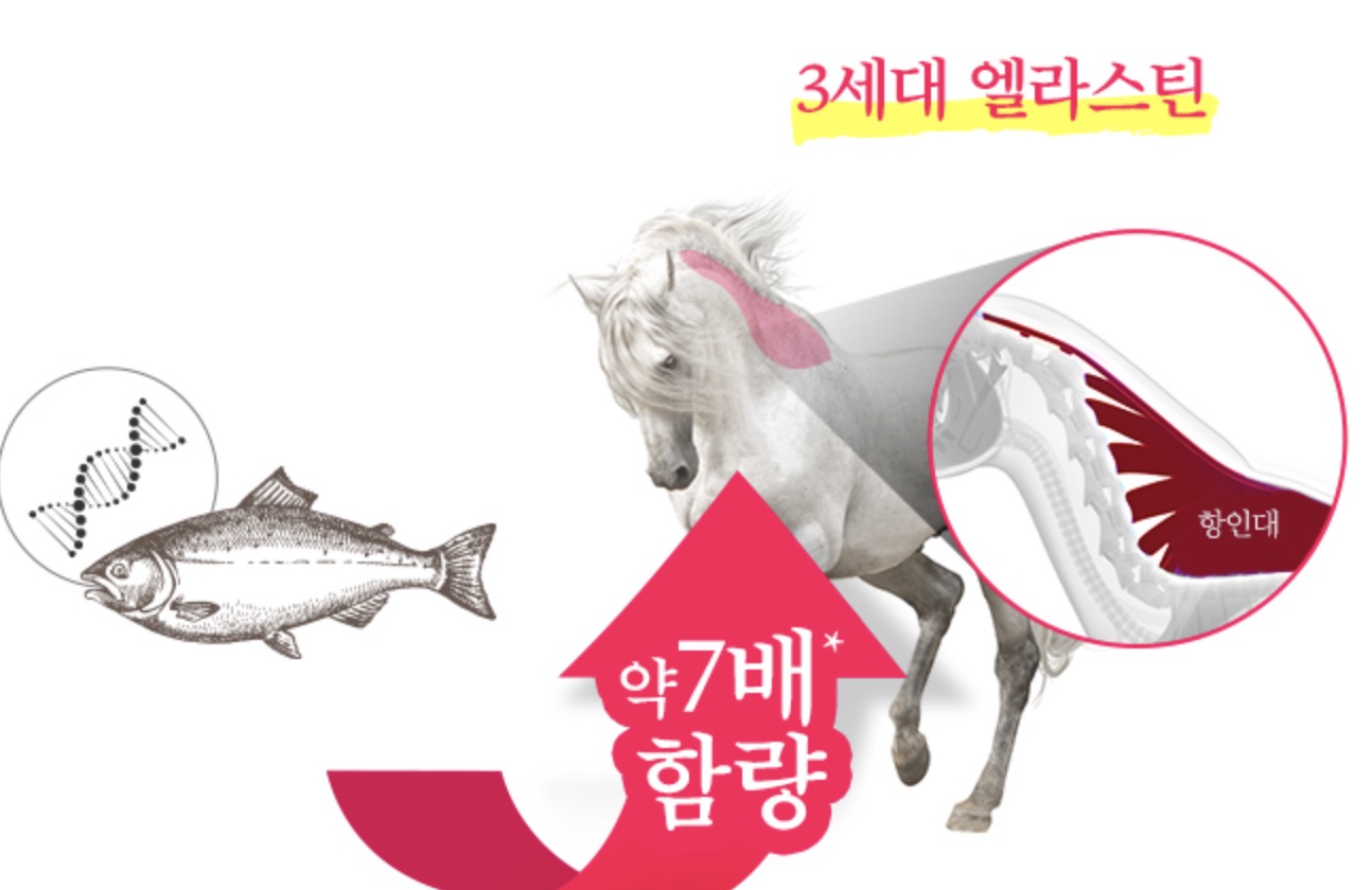 말-엘라스틴-효능-효과