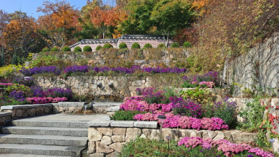 단풍명소_화담숲_전통담장길