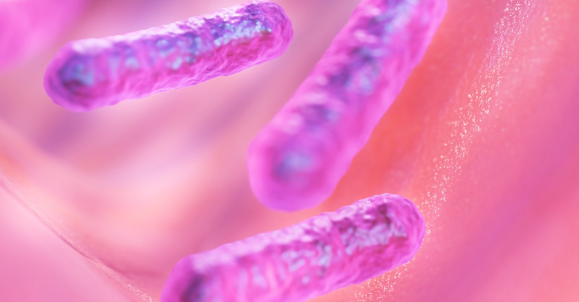 건강한 미생물을 표현하는 사진