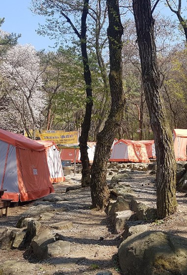 서울대공원 캠핑장