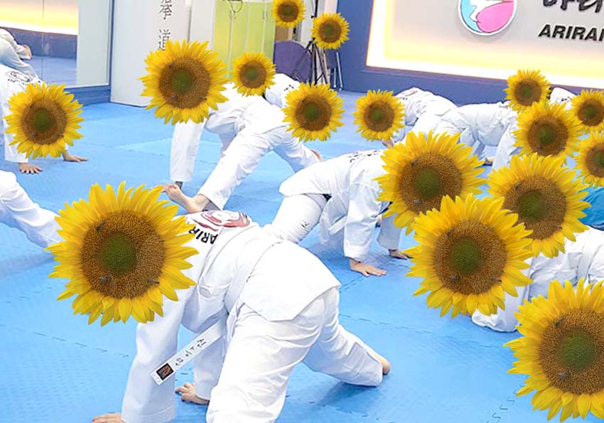 해바라기 꽃보다 태권도